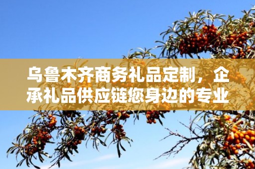 乌鲁木齐商务礼品定制，企承礼品供应链您身边的专业礼品定制公司