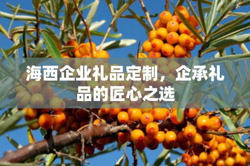 海西企业礼品定制，企承礼品的匠心之选